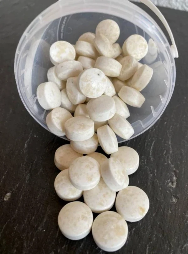 Pfefferminze (Jungle Chew Tabs)